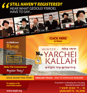 Gedolei Yisroel Speak! Yerushalayim Yarchei Kallah is Special!